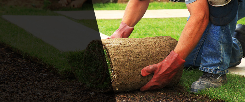 Metter Landscapers